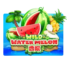 Wilo
