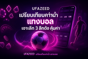 เปรียบเทียบค่าน้ำ แทงบอล